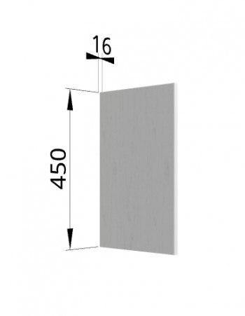 Панель торцевая (для шкафа горизонтального высокого) ВПГ Ройс (Графит софт) в Евсино - evsino.mebel54.com | фото