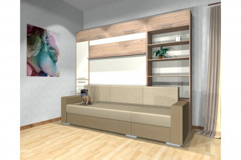 Шкаф-кровать с диваном Каролина в Евсино - evsino.mebel54.com | фото